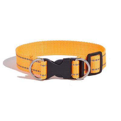 Correa Portátil con Asidero para Perros - Collar de Paseo Seguro - Image 17