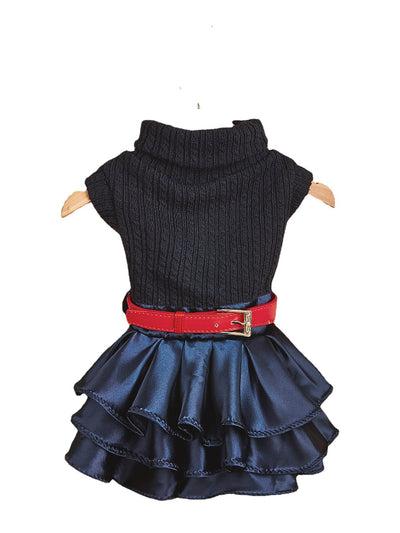 Conjunto de Abrigo y Falda para Mascotas - Otoño e Invierno