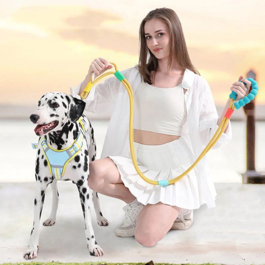 Correa de Tracción para Perros con Mango Acolchado Antideslizante - Image 18