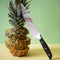 Cuchillo de Chef Profesional Forjado Multiusos