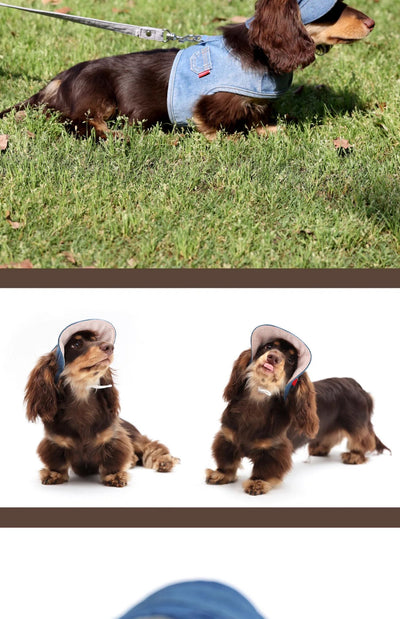 Sombrero Vaquero con Protección Solar para Mascotas - Image 10