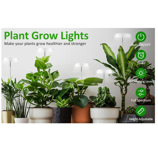 Luz LED de Crecimiento para Plantas Suculentas y Bonsái con Temporizador y Atenuador - Image 8