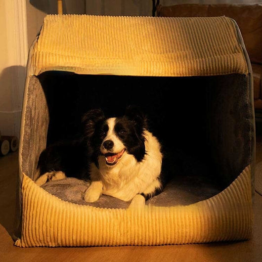 Casa Desmontable y Lavable para Perros de Todas las Estaciones - Image 5