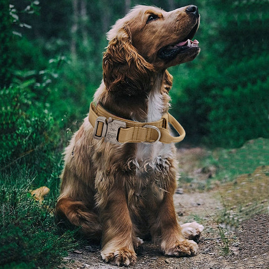 Collar de Tracción para Mascotas de Color Sólido
