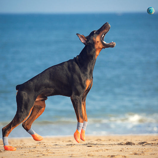 Zapatillas Deportivas Outdoor para Mascotas con Suela Antideslizante Biomimética