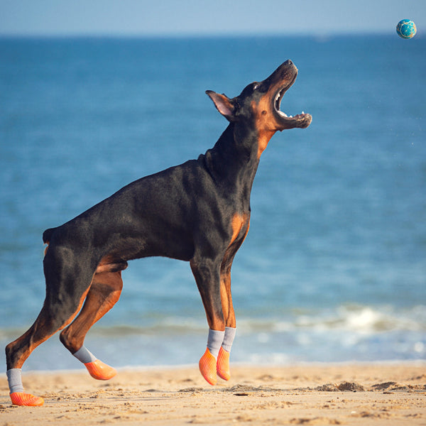 Zapatillas Deportivas Outdoor para Mascotas con Suela Antideslizante Biomimética