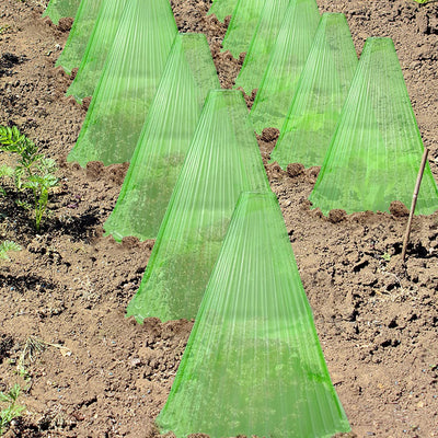 Campana Protectora Cuadrada Reutilizable para Plantas