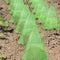 Campana Protectora Cuadrada Reutilizable para Plantas