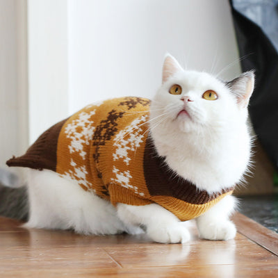 Suéter Gato Azul Británico para Otoño e Invierno - Image 14