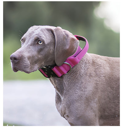 Collar Táctico Antiexplosión para Perros - Image 23