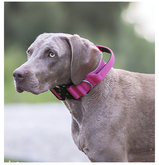 Collar Táctico Antiexplosión para Perros - Image 23