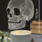 Base With Switch Skull