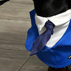 Disfraz Halloween para Perros Salchicha - Traje Divertido y Cómodo - Image 8