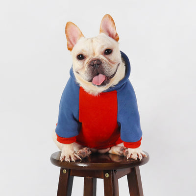 Ropa de Abrigo para Perros Pequeños y Medianos - Otoño e Invierno - Image 3