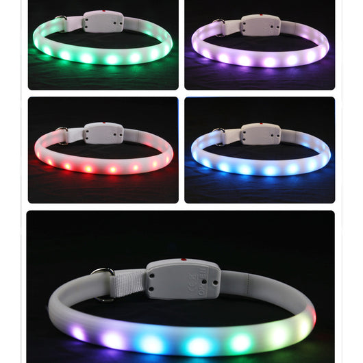 Collar LED Recargable Luminoso para Perros con Destello de Seguridad Nocturna - Image 3