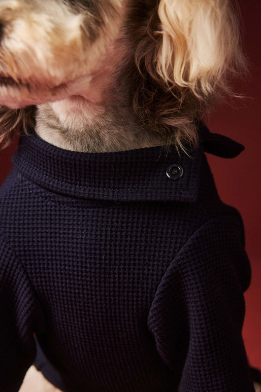 Ropa Térmica para Perros - Abrigo Waffle Otoño e Invierno - Image 2