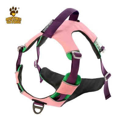 Chaleco Reflectante para Entrenamiento de Perros con Correa de Pecho - Image 6