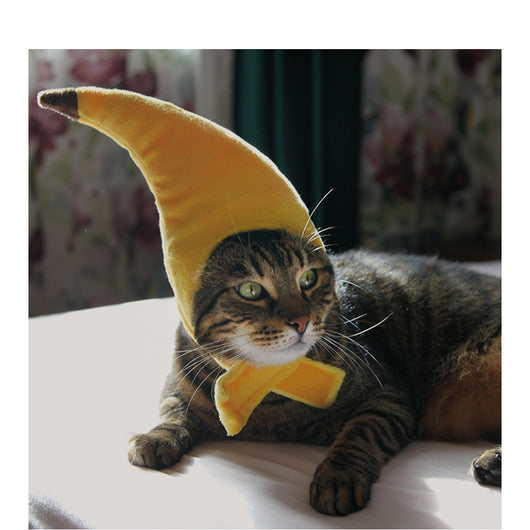 Gorro Creativo de Plátano para Mascotas - Image 6