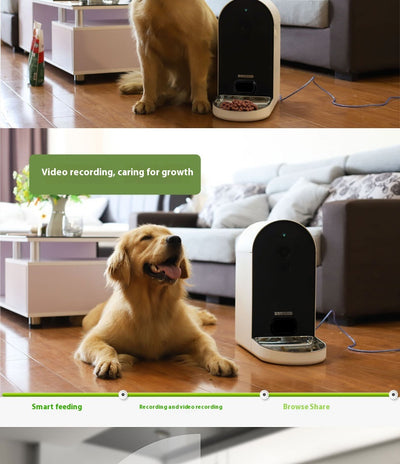 Comedero Inteligente Automático con Control Remoto - Image 10