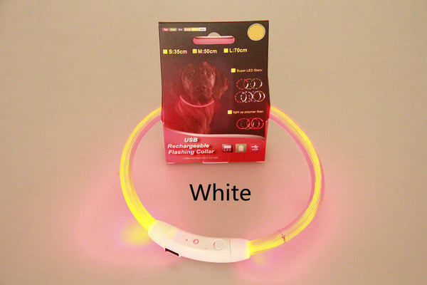 Collar LED Recargable USB para Mascotas - Luz de Seguridad Nocturna para Perros - Image 6