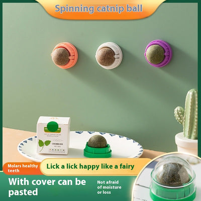 Juguete Interactivo de Menta Gatuna con Limpieza Dental para Gatos - Image 16