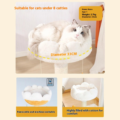 Árbol Rascador Compacto Integrado para Gatos - Image 4