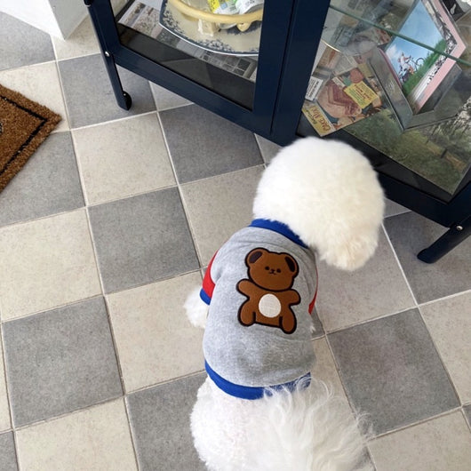 Suéter Teddy para Gatos y Mascotas Pequeñas Bixin - Image 5