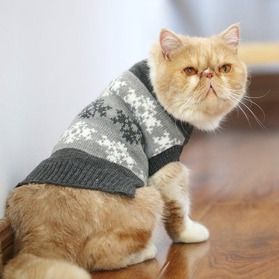 Suéter Gato Azul Británico para Otoño e Invierno - Image 24