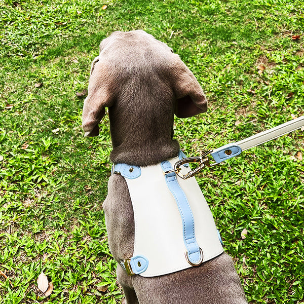 Arnés de Cuero para Mascotas con Cuerda Guía