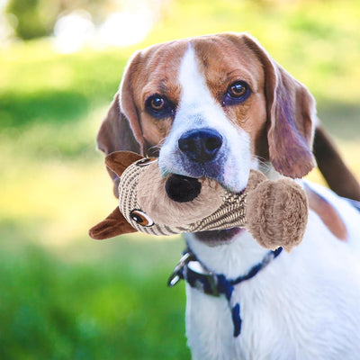 Juguete Interactivo para Perros Grandes - Peluche Chirriante Resistente - Image 14