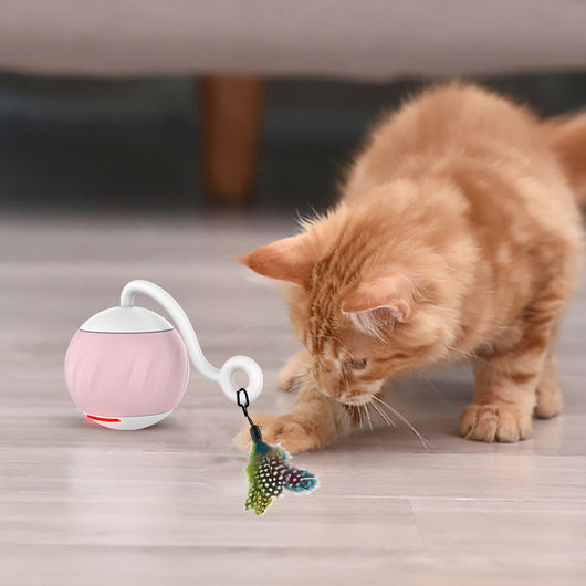 Orange pumpkin-shaped cat toy with a teal vine and paw print details, measuring 61mm. - Image 12