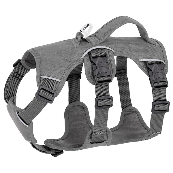 Arnés de Tracción para Perros con Correa Pectoral Ajustable - Image 2