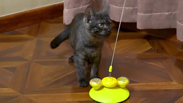 Juguete Interactivo para Gatos con Pelota y Varilla