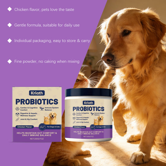 Polvo Probiótico para la Salud Digestiva de Mascotas