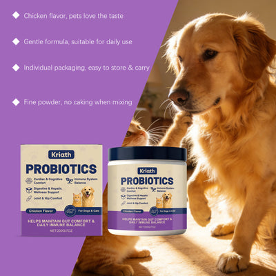 Polvo Probiótico para la Salud Digestiva de Mascotas