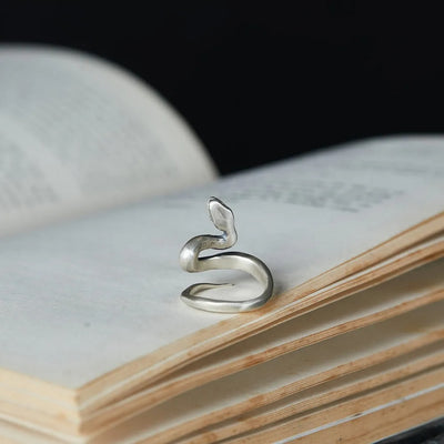 Anillo de Plata Esterlina S925 Estilo Frío Desgastado Nicho - Image 10