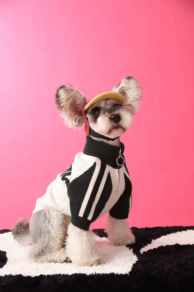 Suéter Deportivo para Perros - Cardigan Cómodo para Mascotas - Image 23