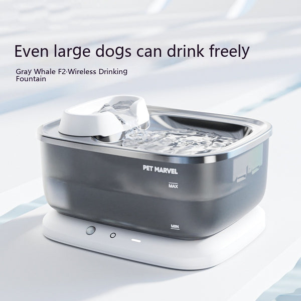 Dispensador de Agua Circulante Minimalista para Mascotas