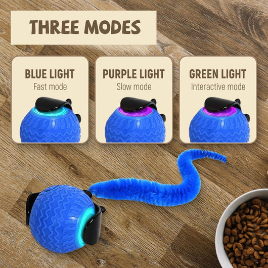 Interactive blue pet ball toy with a fuzzy worm attachment, captivating a brown dog and a tabby cat. - Image 6