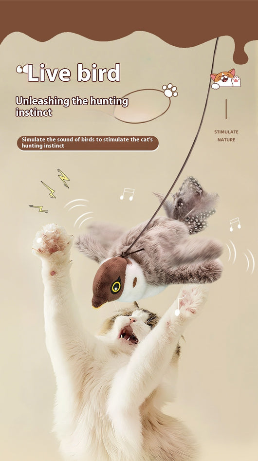 Juguete Interactivo para Gatos - Pájaro Cantarín con Sonido y Movimiento Automático - Image 22