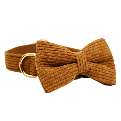 Collar para Mascota en Pana Caramelo - Image 5