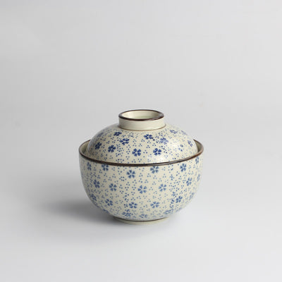Tazón de Cerámica Japonesa con Tapa Conservadora - Image 19
