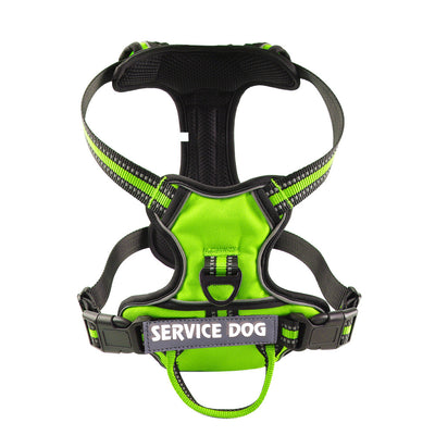 Arnés Personalizado para Perro en Tela Oxford - Image 6