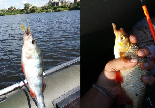Señuelos Artificiales de Plástico Blando - Gusanos Proteínicos para Pesca - Image 9