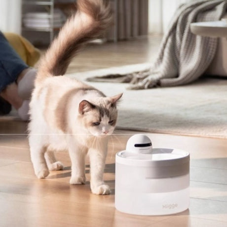 Bebedero Inteligente para Mascotas con Monitoreo de Calidad de Agua 24/7