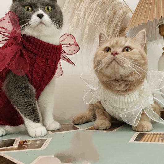 Suéter Navideño para Gatos - Abrigo Cálido Británico Shorthair Otoño Invierno - Image 9