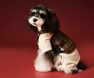 Ropa Térmica para Perros - Abrigo Waffle Otoño e Invierno - Image 5