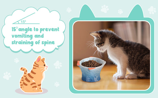 Comedero Elevado para Gatos en Cerámica con Diseño de Pez y Ángulo Inclinado - Image 14