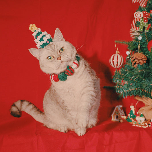 Babero Navideño Limitado para Mascotas - Image 4