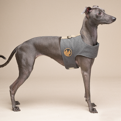 Arnés Chaleco para Perros Pequeños con Correa Integrada - Image 5
